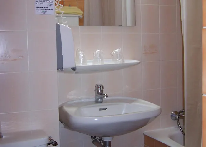 Estival Arriel 3* ルルド